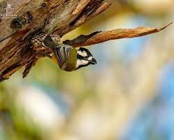 Pin On Ben Blackburn Photography