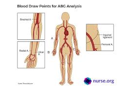 Know Your Abgs Arterial Blood Gases Explained Nurse Org