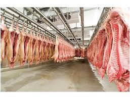 México inicia importación de carne de cerdo británica - enAlimentos