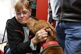 Family reunited with dog lost after accident