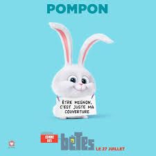 La vie secrète que mènent nos animaux domestiques une fois que nous les laissons seuls à la maison pour partir au travail ou à l'école. Avis Comme Des Betes La Critique Cine De Take Me Home Blog Take Me Home