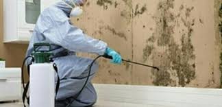 Professional pest control services hyderabad can help solve any kind of pest infestation be it mosquitoes, bed bugs, termites, cockroaches, spiders pest control hyderabad. Bedbugs Control Home Cleaning Services