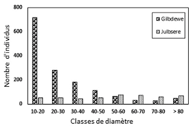 Image result for Julbernardia seretii