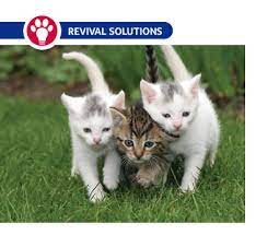 Deworming Feral Cat Colonies