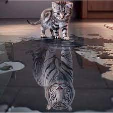 3d Diamante Diy Pittura Del Ricamo Animali Di Gatto A Tiger Decorazione Della Casa Della Parete Pittura Di Diamante Mosaic Kucing Cantik Anak Kucing Lucu Hewan