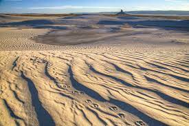 The Red Desert Wyoming Map New Map Aims To Demystify Remote Red Desert - Wyofile
