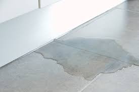 Hi, i recently tiled my kitchen floor with ceramic tiles onto a wooden floor. 5 Ways Water Can Damage Your Tile Floors