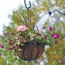 Brighten any room with a hanging metal planter beside the window for modern decor that takes up neither cabinet nor floor space. Hanging Basket Hacks Garden Gate