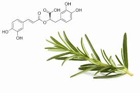 Image result for Fadogia cienkowskii