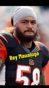 Clay Johnston Football Bengals