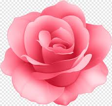 A wallpaper that symbolizes both beauty and the beast, doesn't get much better than this! Rose Flower Pink Flower Sakura Flower Rose Flower Vector Pink Rose Flower Single Rose Flower 824616 Free Icon Library