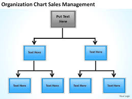Business Flow Chart Origanization Sales Management