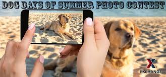 The greek writer plutarch referred to the hot days of summer as hēmerai kynades (literally, dog days), and a latin translation of this expression as dies caniculares is the source of our english phrase. Grafenwoehr Exchange Dog Days Of Summer Photo Contest Bavarian News U S Army Garrison Bavaria