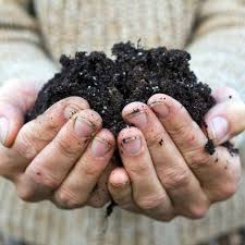 The matter excreted from the worms tail end is what makes up the if the bin is going outside, straw and leaves can also be added. How To Attract Worms To Your Garden The Family Handyman