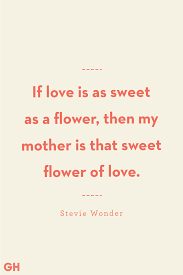 From the first helpless sob, through the joys and sorrows that come with childhood, to seeing him mature into manhood, a son instills in us an unfathomable love. 35 Heartfelt Mother Son Quotes Mother And Son Sayings 2021