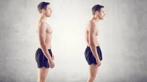 Image result for Posture