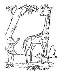 Planse de colorat cu animale salbatice. Fise De Colorat Animale SÄƒlbatice Animal Coloring Pages Animals Coloring Pages