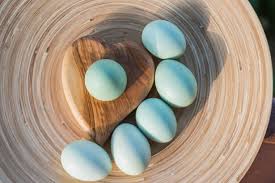 15 bonnes raisons de ne plus jamais jeter vos coquilles d'oeufs. Pourquoi Les Oeufs N Ont Ils Pas Tous La Meme Couleur