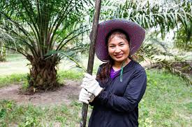 Get in touch with our olam palm gabon team. 2 Souls From The South Making Palm Oil Plantations Sustainable Is The Only Way Forward