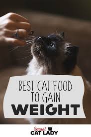 If Your Cat Needs To Gain Weight Because She S Not Eating Enough Or For Any Other Reason Check Out The Best Cat Foods To Best Cat Food Cat Food Cat
