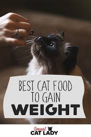 1824 kcal x 1.2 = 2188.5 calories/day. If Your Cat Needs To Gain Weight Because She S Not Eating Enough Or For Any Other Reason Check Out The Best Cat Foods To Buy I Best Cat Food Cat Food