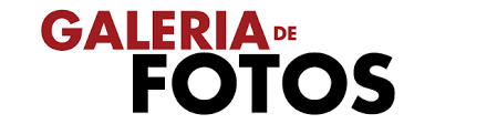 https://www.girorondonia.com.br/p/iluminacao-e-forro.html
