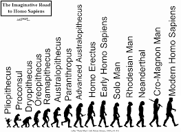 Pin On Human Evolution