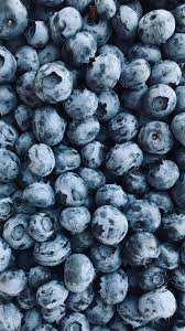 Download Blueberries Berry Fruit Fresh Wallpaper For Screen 1080x1920 Samsung Galaxy S4 S5 Note Sony Xperia Z Z1 Z2 Z3 Ht Berry Fruit Fruit Blueberry