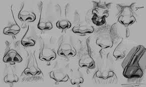 Nose Reference By Kingangel Z On Deviantart Nose Drawing Sketch Nose Cartoon Noses