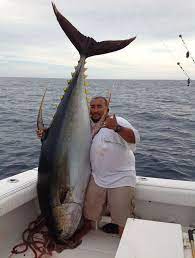 Puerto Vallarta Yellowfin Tuna Fishing Questions And Answers