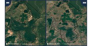 The Great Climate Scandal. Part 4: Matt Shea visits the Carbon Forward  Conference 2023