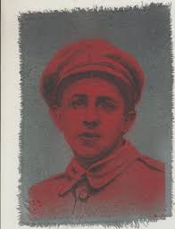 Parliament Of Trees Brighton