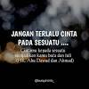 Berita tentang kalian lumayan bombastis, ya! katanya. 3