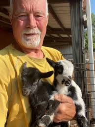 Two new baby kids, both girls.