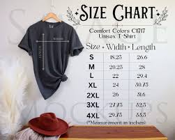 Your Text Custom Comfort Colors Tshirt, Custom Text Shirt, Your Design  Here, Custom Oversized Shirt, Front and Back Custom Shirt
