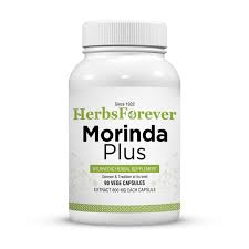 Image result for Morinda