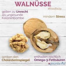 Walnusse Wie Gesund Sind Sie Wirklich Walnusse Befinden Sich Bei Vielen Figurbewussten Auf Walnuts Nutrition Health Benefits Of Walnuts Vitamin C Benefits