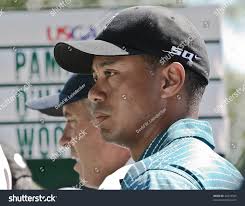 17 Steve Tiger Williams Woods Royalty-Free Images, Stock Photos & Pictures 
