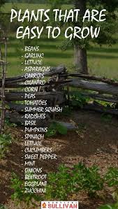 Planning And Planting Your Hidden Survival Garden Survival Sullivan Survival Gardening Organic Gardening Tips Home Vegetable Garden