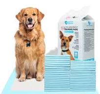 Amazon.com: Blue Dog Training Pads Large, Extra Absorbent ...