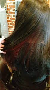 Chocolate Brown With Red Underneath Black Red Hair Underneath Hair Hair Color For Black Hair