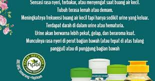 Bismillah Resep Herba Hni Hpai Infeksi Kandung Kemih Infeksi Kandung Kemih Adalah Peradangan Yang Terjadi Pada Kandung Kemih Infeksi K Di 2020 Resep Herba Perasaan