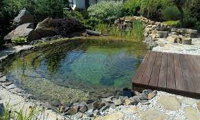 Swim Pond More Natural Pools Which Look Amazing And Are Better For The Environment As Well Pool Landscaping Swimming Pond Natural Swimming Pools