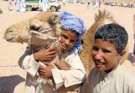 Although camels are not the fastest animals to. Camel Racing