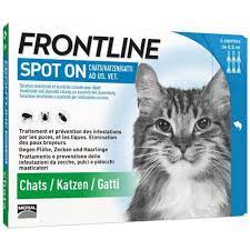 Frontline Spot On Cat List D 6 x 0.5 ml buy online | beeovita.com