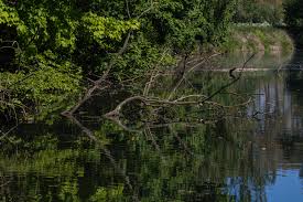 Sie entstand aus dem zusammenschluss der ehemaligen gemeinden und heutigen ortsteile dilsen. Blogwandeling Met Verwonderhoekje In Dilsen Stokkem De Maasvallei