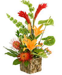 I love edible landscaping as much as the next guy, but we need food for the soul as much as we need food for our bellies, and flowers are some pretty. Tropical Flowers Free Same Day Delivery In Nyc