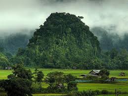 Paddy Fields Between The Limestone Cliffs In 2020 Nature Travel Scenery Nature