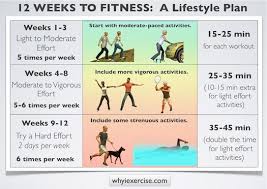 You can choose the suitable program out of these workout routines based on the expected end. Free Workout Plans Reach Your Goals With Workouts That Fit In Your Life