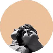 Call Me By Your Name Oscar Awards Call Me By Your Name Call Me Profile Picture Timothee Chalamet